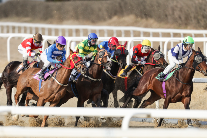 “당신도 마주馬主가 될 수 있다” 한국마사회, 서러브레드 마주 모집