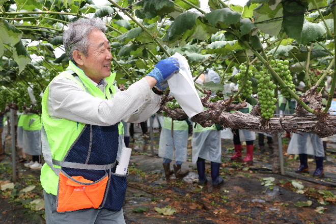 농협중앙회(회장 강호동)는 지난 6월 20일을 ‘범농협 한마음 농촌일손 집중지원의 날’로 지정하고, 전국적으로 농촌 일손돕기를 실시했다. (농협중앙회 제공)