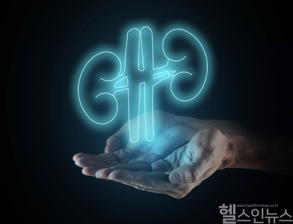 여름철 수분 부족과 생활 습관으로 요로결석 발생 위험이 높아져 예방이 중요하다. (클립아트코리아)
