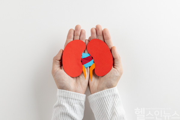 신장암은 조기 발견이 어렵지만, 부분절제술 등 수술법 발전으로 치료 성과가 높아지고 있다. (클립아트코리아)