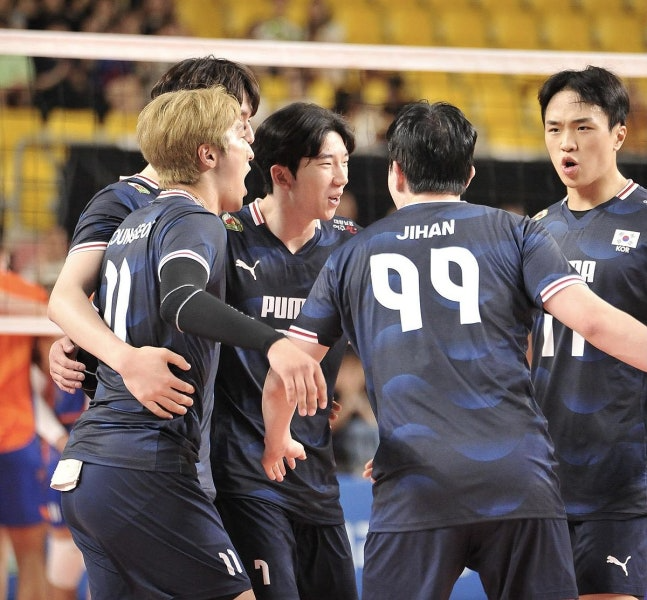 남자배구 대표팀의 경기 장면 / 대한배구협회 제공