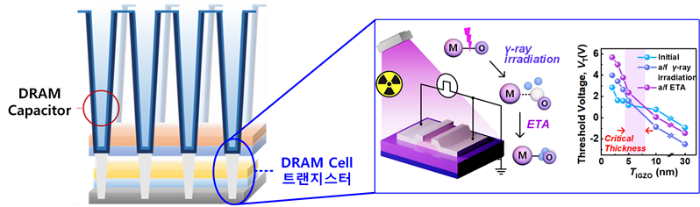 (사진제공=전북대)
