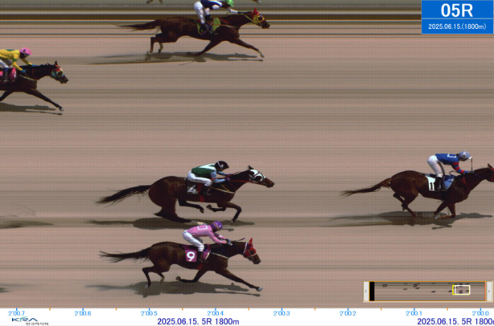 2025년 6월의 한국경마 명장면 1위보다 더 치열한 2위 다툼?
