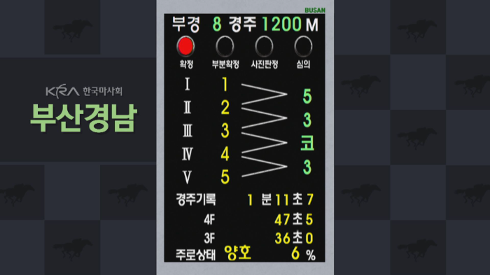 2025년 6월의 한국경마 명장면 1위보다 더 치열한 2위 다툼?