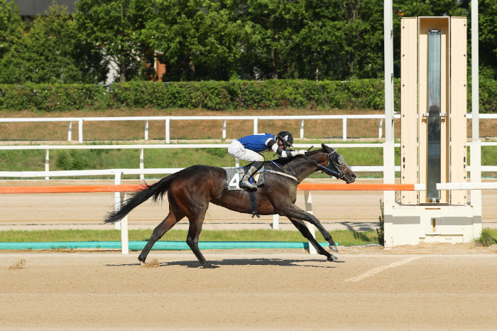 ‘제14회 스포츠동아배’, 출전마 중 가장 어린 암말 ‘사탕소녀’ 우승