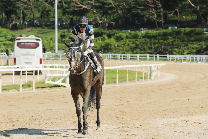 ‘제14회 스포츠동아배’, 출전마 중 가장 어린 암말 ‘사탕소녀’ 우승