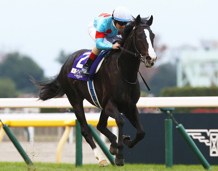 이쿠이녹스(イクイノックス, Equinox), 일본 경마 최고 영예 ‘현창마’ 선정