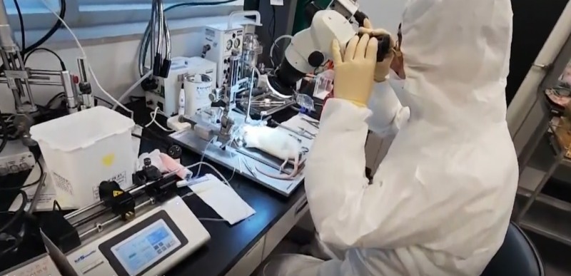 파나셀바이오텍, 와튼젤리중간엽줄기세포배양액추출물 ‘국제화장품성분’ 등록