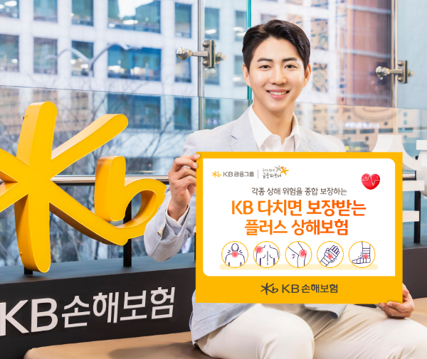 ⓒ KB손보