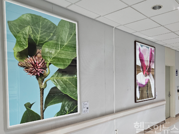 정서적 위안을 위한 미술 전시 개최 사진 (국민건강보험 일산병원 제공)