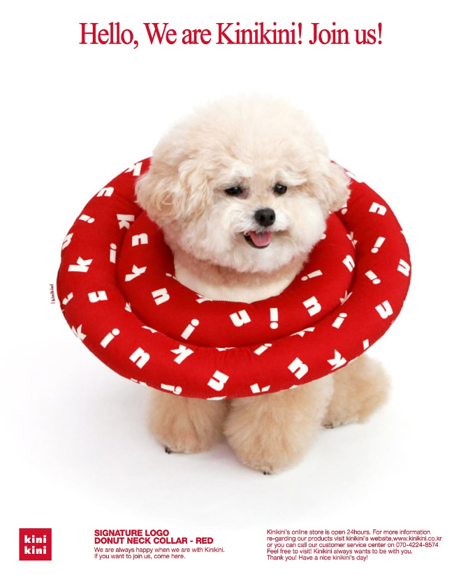반려동물 라이프스타일 브랜드 키니키니(KINIKINI), 쿠팡입점