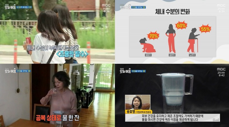 '생방송 오늘 아침', 여름철 시니어 건강 위한 수분 섭취 중요성 소개