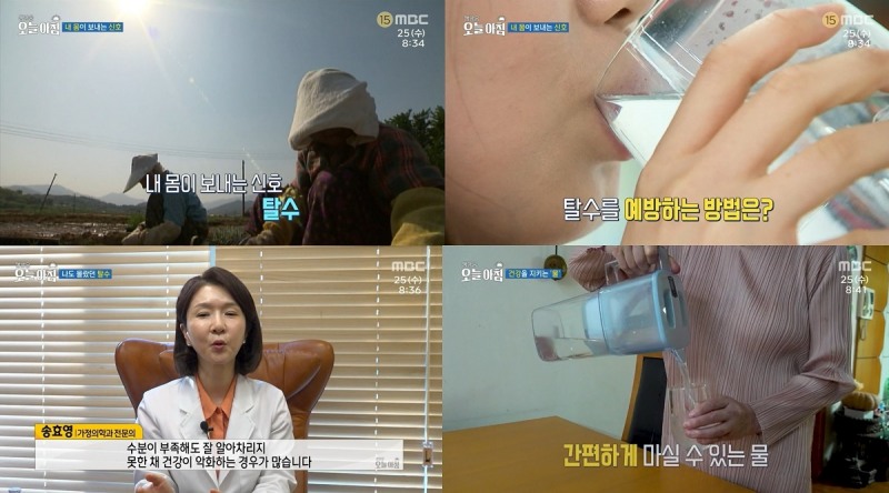 '생방송 오늘 아침', 노년층 위한 여름철 수분 보충 방법 소개