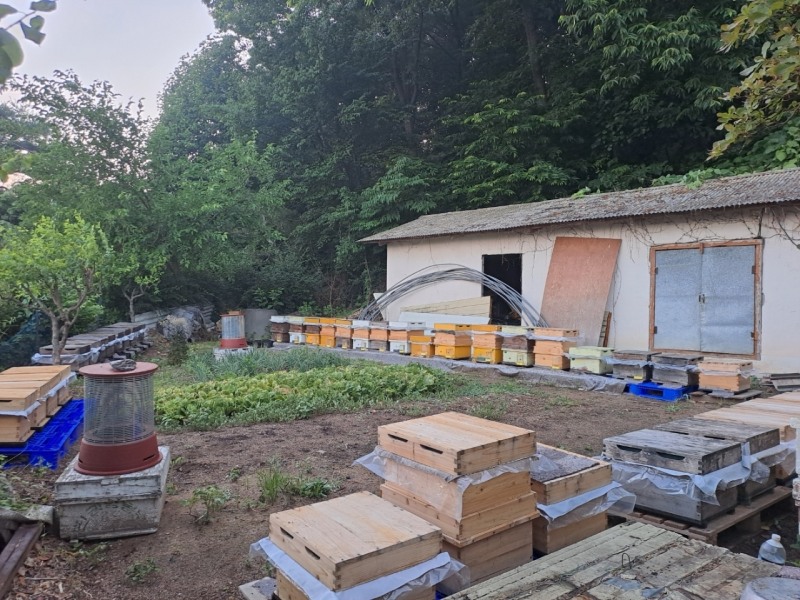 용인특례시 양봉 농가