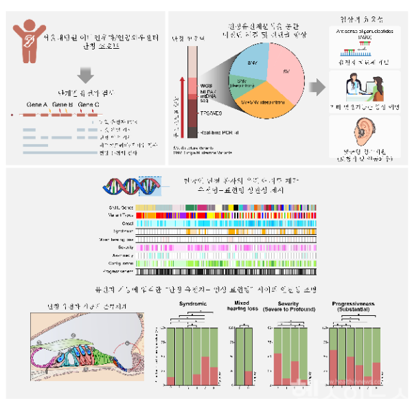 감각신경성 난청 유전자 분석 과정 요약: 전장유전체분석을 통해 한국인의 난청 유전자 지도를 구축하고, 비코딩 및 구조적 변이와 난청 유형의 관계를 분석함 (서울대병원 제공)