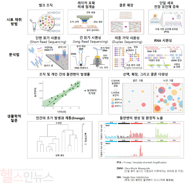 연구와 분석 과정 (세브란스병원 제공)