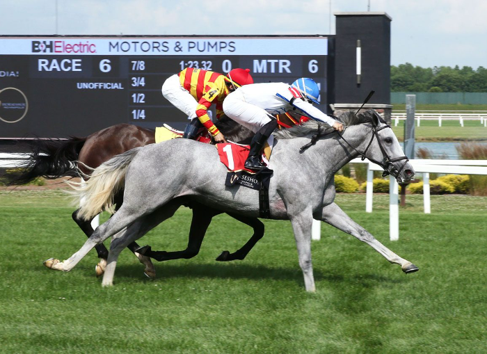 ZIGGITY-ZAG 우승장면_출처 Bloodhorse