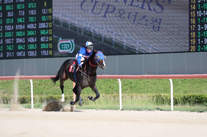 제18회 오너스컵 대회에서 한강클래스와 김혜선 기수가 가장 먼저 결승선을 통과하고 있다