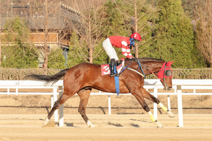 문세영 기수 2000승 달성 경주