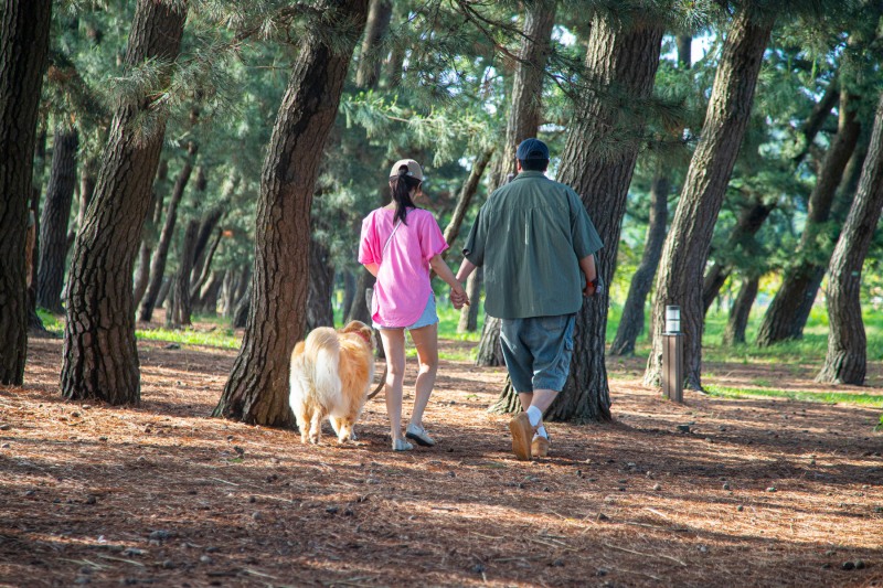 화성 궁평오솔로파크