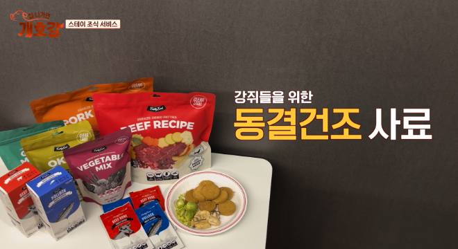 JTBC ‘집 나가면 개호강’, 반려견 건강 식단 조명