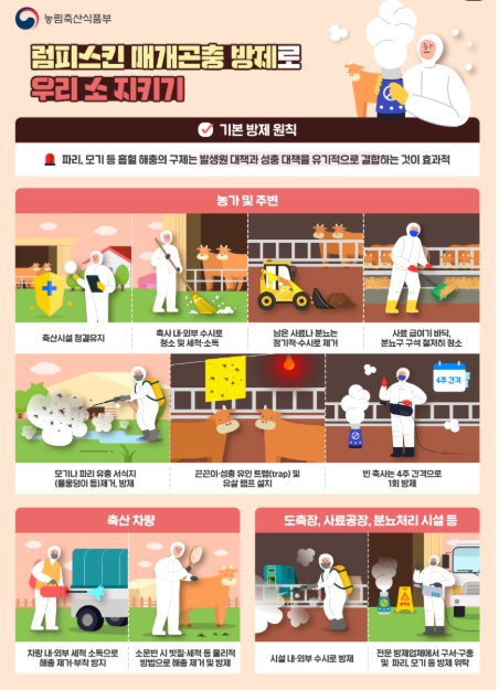 경상남도가 여름철 기온 상승으로 인한 매개곤충 활동 증가에 대응하기 위해 ‘럼피스킨 위험주의보 발령체계’를 본격 시행한다. (경상남도 제공)