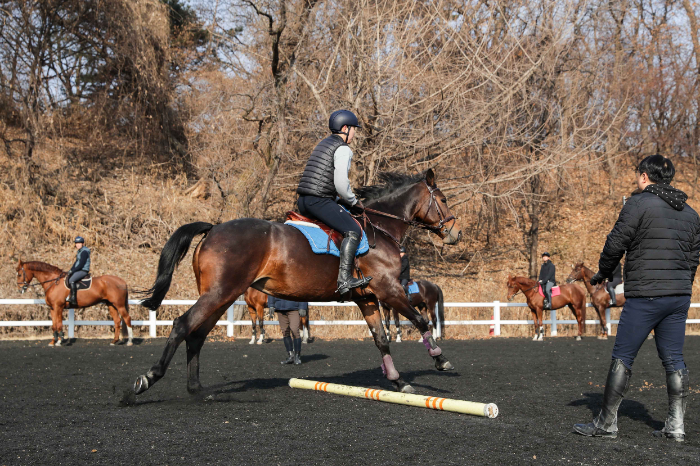 한국마사회, NCS 기반 일학습병행제에 ‘말이용’ 종목 신설