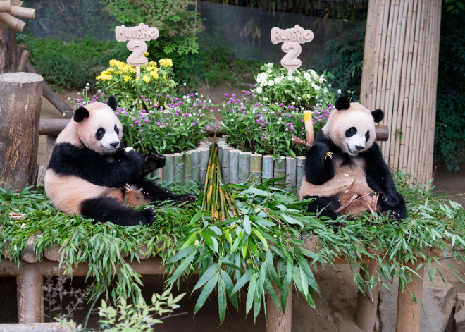 ⓒ삼성물산 리조트부문