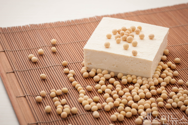 콩 섭취가 천식, 심혈관질환, 당뇨, 노쇠 등 다양한 건강 개선에 긍정적 영향을 줄 수 있다는 연구 결과가 발표됐다. (클립아트코리아)