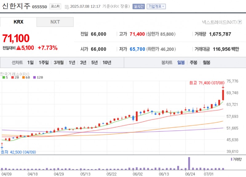 은행주들이 '관세 무풍지대' 영향으로 일제히 급등하고 있다. 자료=신한지주 주가추이, NAVER