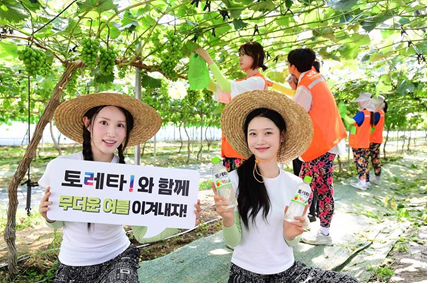 지난 9일 경기도 안성시 서운면에서 상명대학교 학생들이 포도 포장 작업 등 농촌 일손을 도우며 코카-콜라사의 이온보충음료 토레타!로 수분을 보충했다. 이날 현장에는 모델들도 토레타!와 함께하며 폭염 속 수분 보충의 중요성을 알리는 데 힘을 보탰다.