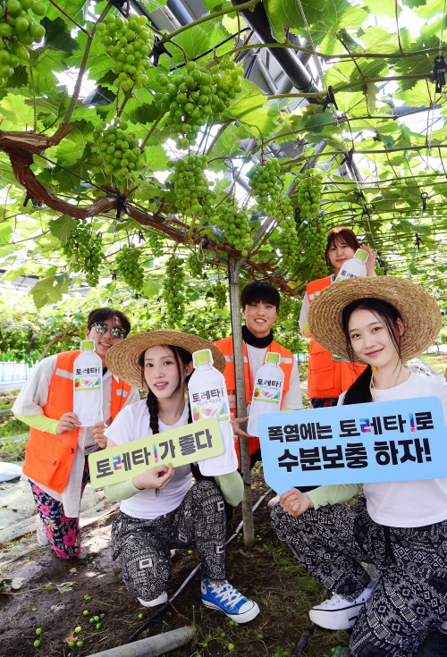 한국 코카-콜라사 이온보충음료 토레타!가 전국 25개 대학생 농촌봉사단체에 토레타! 총 1만2,000개 제품을 지원하고 있는 가운데, 지난 9일 경기도 안성시 서운면에서 포도 포장 봉사활동 중인 상명대학교 학생들이 모델들과 함께 폭염 속 수분보충의 중요성을 알리고 있다.