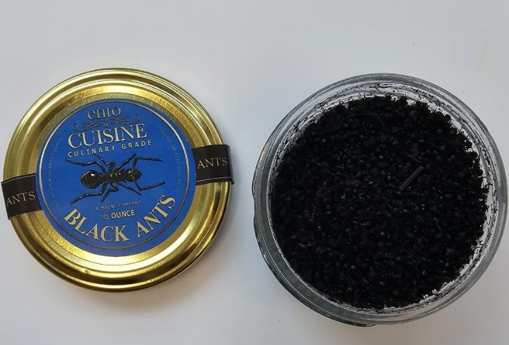 위반 제품(미국산 개미) (식약처 제공)