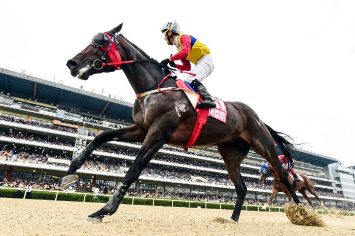 F1 vs 경마, 속도를 지배하는 두 스포츠의 평행이론