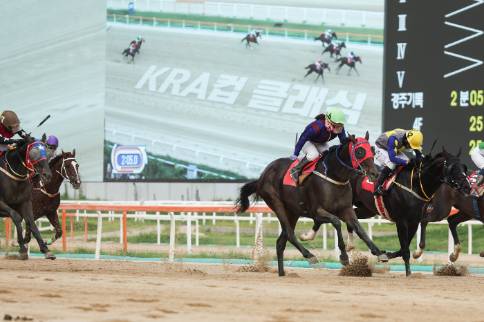 승부의 계절이 달려온다... 경마 빅매치 주목!
