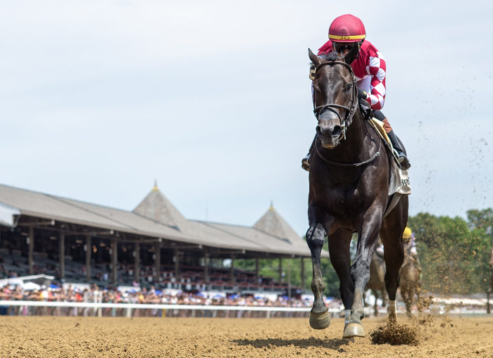 한국마사회 씨수말 닉스고 자마 ‘EWING’, TDN 라이징스타 선정