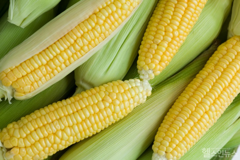 옥수수의 제철은 여름철로 우리나라 기준으로 6월부터 8월, 늦은 품종은 9월 중순까지 맛있게 즐길 수 있다. (클립아트코리아)