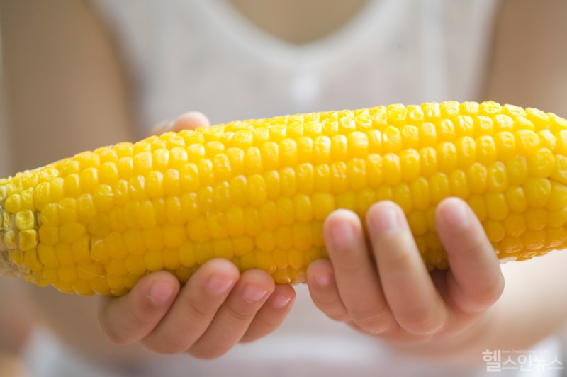 찐 옥수수 한 개는 약 88kcal로 밥 반 공기 정도 열량이다. 간식으로 1개 정도 먹는 것은 부담스럽지 않지만, 너무 많이 먹을 경우 열량을 초과할 수 있다. (클립아트코리아)