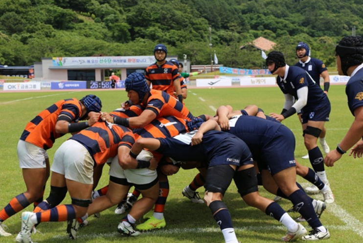 국내 럭비 경기
