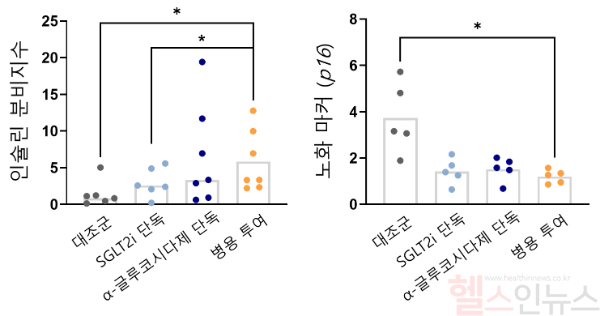 병용 투여군에서 인슐린 분비지수(왼쪽)가 가장 높았고, 노화 마커 p16 발현(오른쪽)이 가장 낮았다. 즉, 병용 투여가 인슐린 분비 향상과 노화 억제에 가장 효과적이었음을 시사했다. (서울대병원 제공)