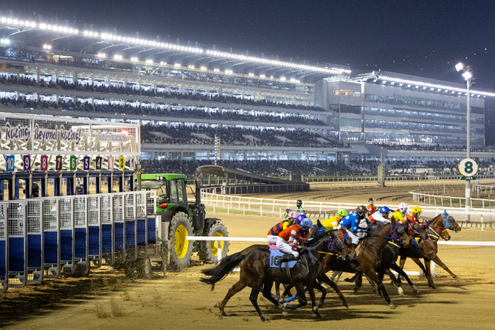 무더위 속에서도 안전 최우선... 한국마사회 여름철 경주로 관리 총력