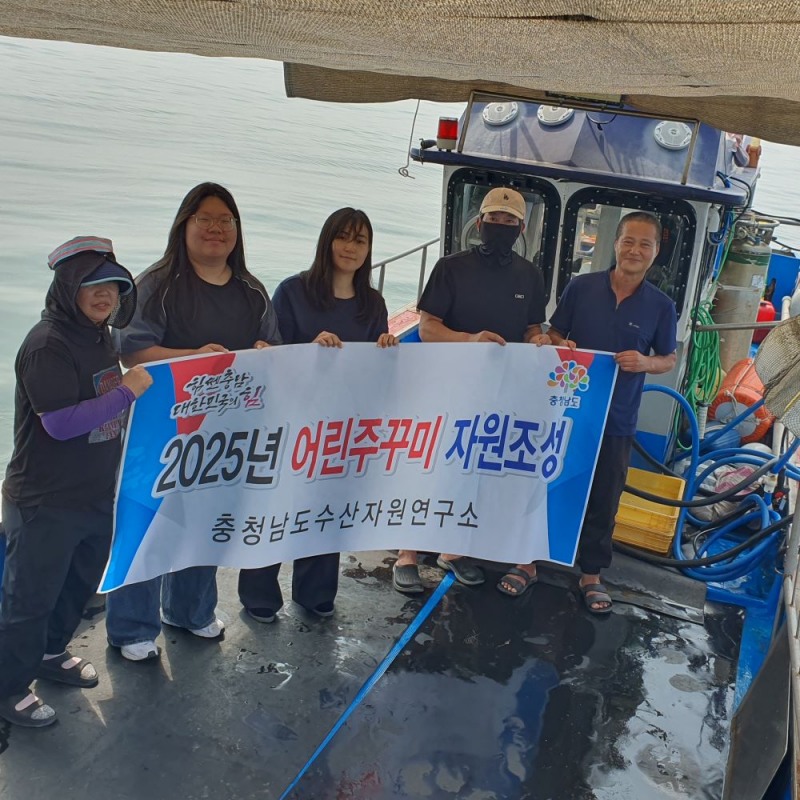 충남도는 수산자원 회복과 어업인 소득 증대를 위해  주꾸미 40만여 마리를 방류했다.(충남도청 제공)