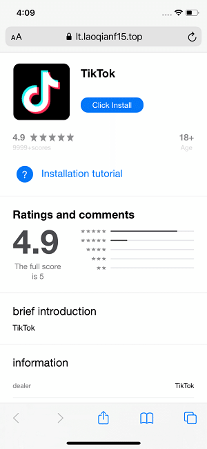 개발자 도구를 통해 틱톡 앱을 설치하도록 유도하는 App Store 모방 웹페이지