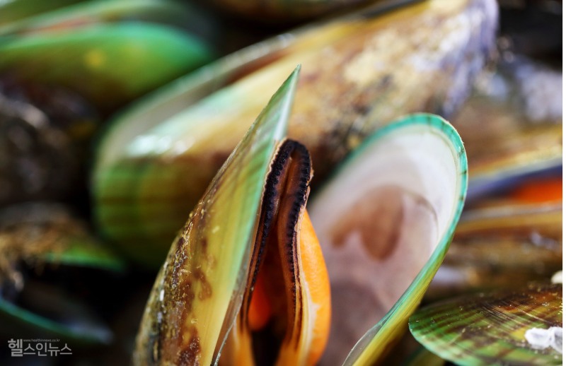 초록입홍합은 일반 홍합보다 크기가 2배 가까이 크며 껍질에 초록빛이 도는 뉴질랜드 고유종이다. (클립아트코리아)