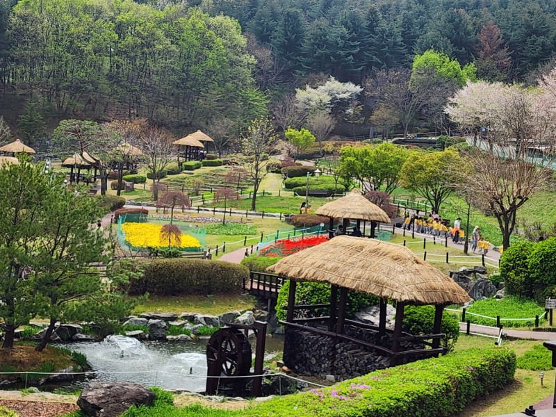 용인특례시 농촌테마파크 여름철 전경