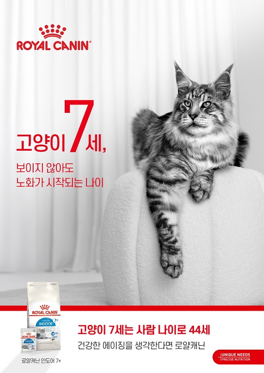 로얄캐닌코리아 7세 이상 반려묘 노화 관리 캠페인