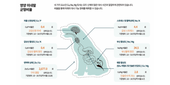 페노비스, 반려동물 영양종합검사 1만 건 돌파… 데이터 기반 맞춤형 헬스케어 솔루션 주목
