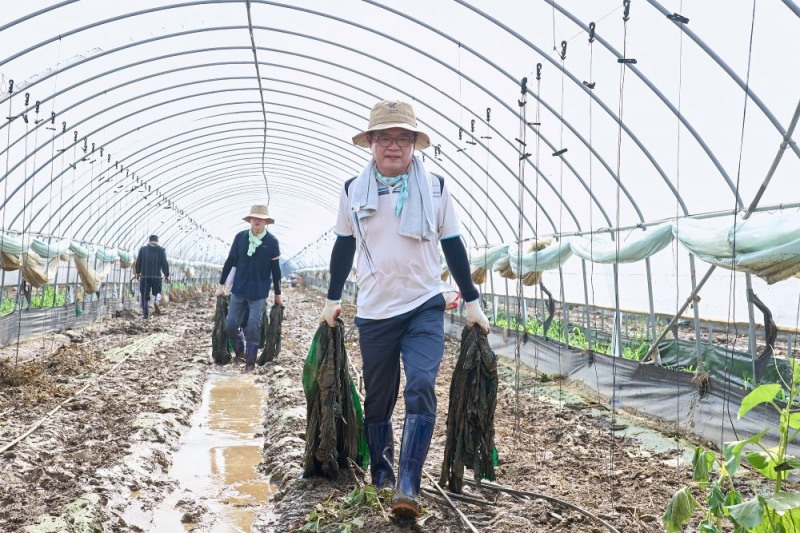 천안시 공직자들이 집중호우로 피해가 발생한 수신면 농가의 복구지원에 솔선수범으로 나서고 있다.(천안시청 제공)