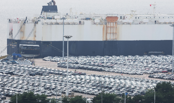 관세 미스터리와 주도주...예상을 뒤엎는 시장의 역설