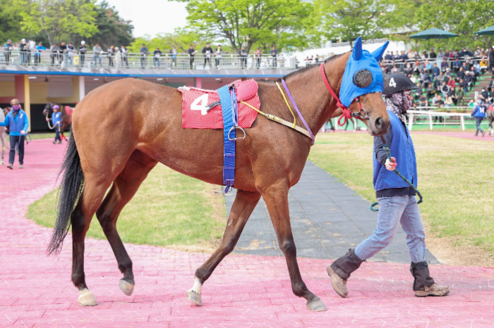 1등급 말들의 1200m 단거리 한판승부, 7월 마지막 경주 승자는 누구?
